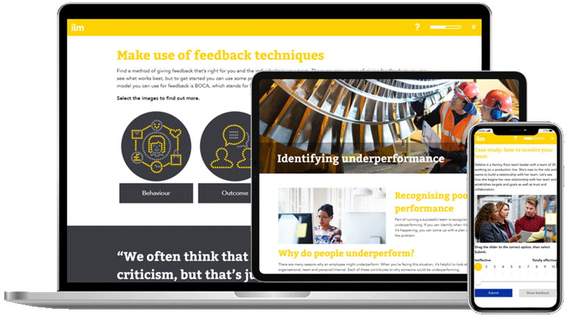 webpage screenshot of LTS L2